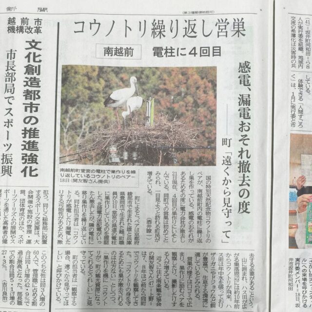 長年見守ってきた南条地区に飛来するコウノトリ。写真を撮り続けてたのですが縁あって福井新聞に写真とコメントが掲載されました。3期6年にわたり観光協会の会長として様々の取り組みをしましたが最後まで走り抜けました。来年度からは副会長になりますが新会長体制の下でもどんどん企画をあげて実行していきたいと考えています。例えば朝倉街道と半夏生が南条地区に非常にゆかりがあるとわかったので、ハス以外の観光資源発掘に注力していきたいです。もちろんコウノトリも観光に活かせたらいいですが、見守る環境や近隣住民の皆様の事を考慮すると協会が勝手にPRすることはできません。各方面と対話を重ね、1歩1歩少しずつ課題をクリアしながら進んでいきたいです。最後に6年ものあいだ会長として無事終われたのは皆様のご理解とご協力があったからです、ありがとうございました。これからも南条観光協会をよろしくお願い申し上げます。